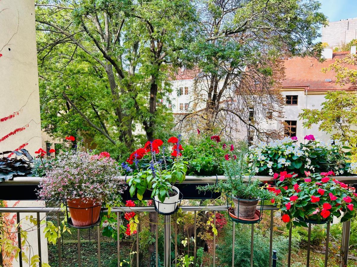 Green Balcony & King Size Bed Прага Екстер'єр фото